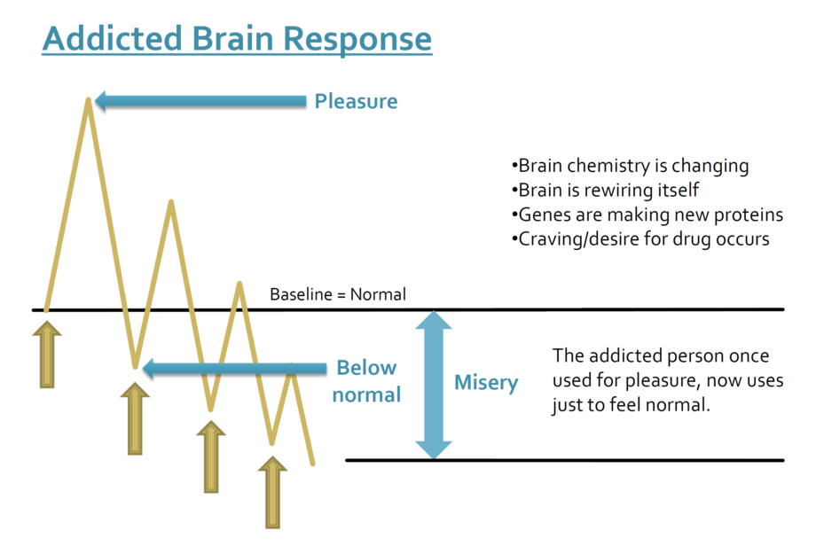 Addicted Brain Response